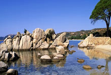 转会期波士顿凯尔特人调整名单以备NBA常规赛；官宣签约环节打磨；引发热议；年轻球员得到机会的简单介绍